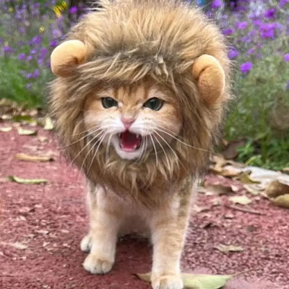 Lion Cap for Pets