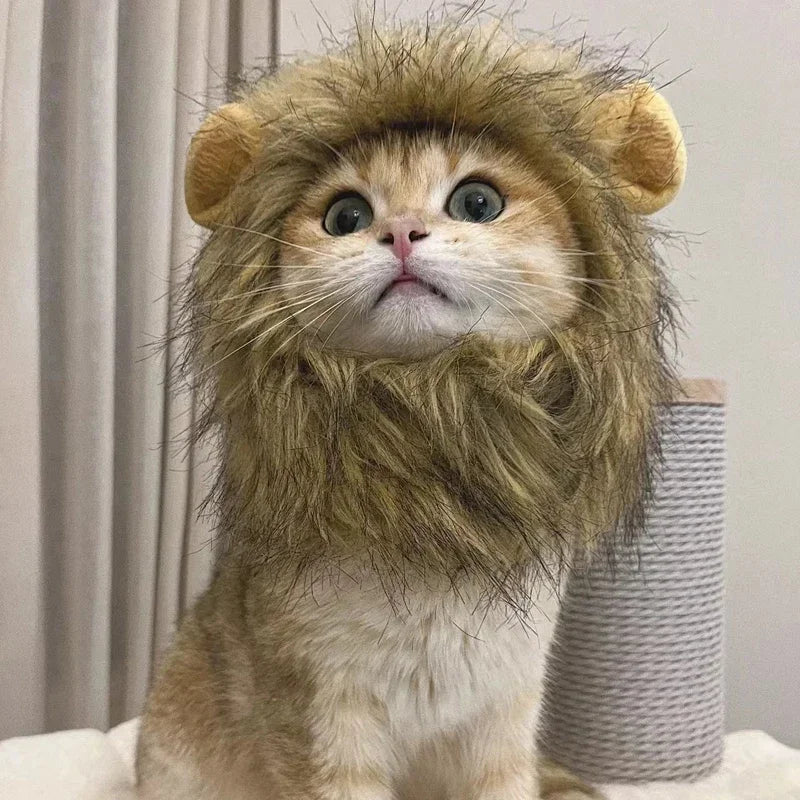 Lion Cap for Pets