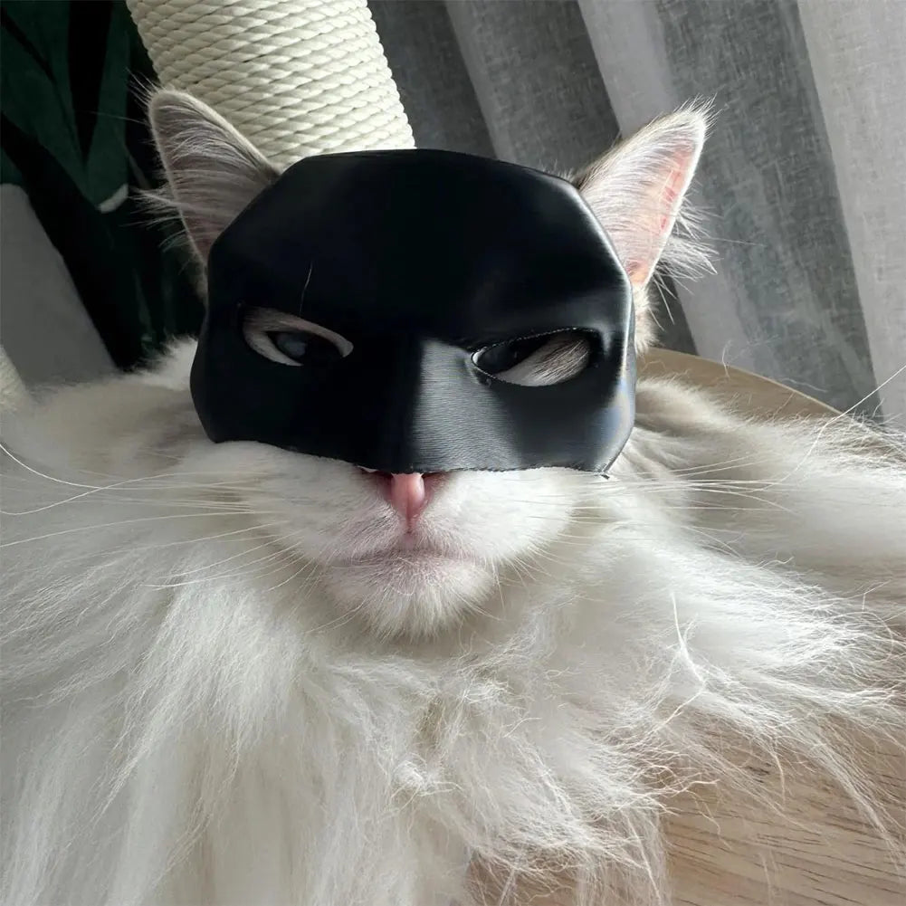 Batman Cat Mask