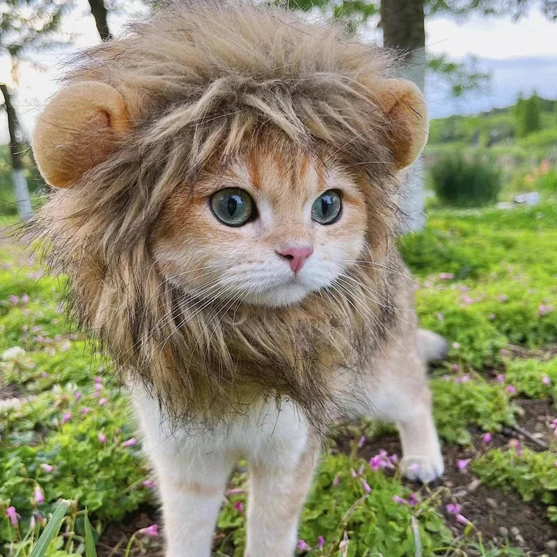 Lion Cap for Pets