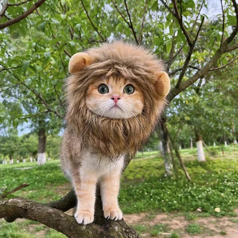 Lion Cap for Pets