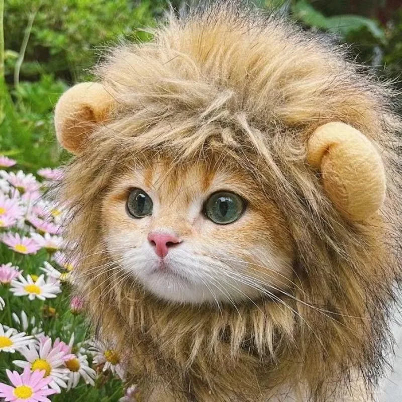 Lion Cap for Pets